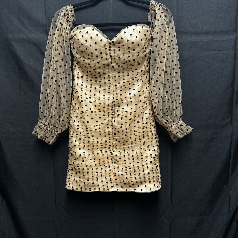 Elegant Polka Dot Dress with Sheer Sleeves